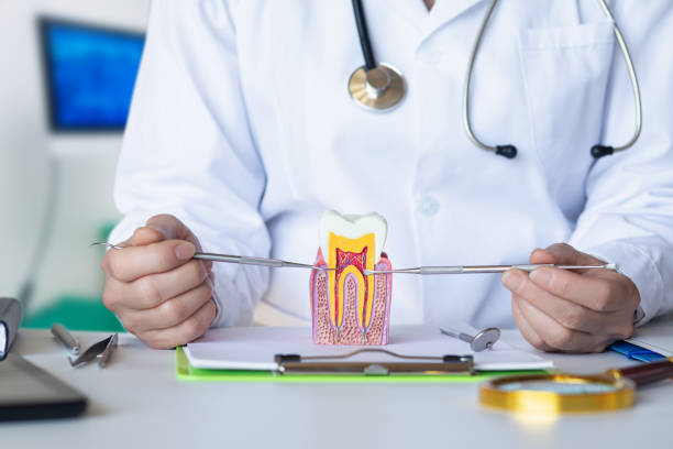 Best Emergency Tooth Extraction in Genesee, CO